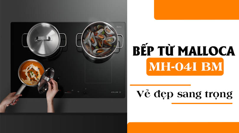 Bếp từ Malloca MH-04I BM